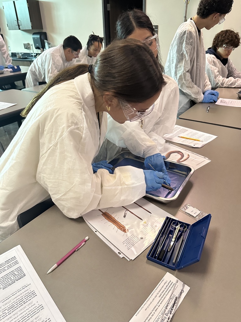 Students dissecting  worms