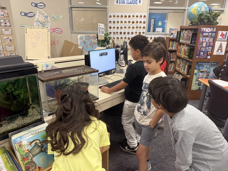 3rd grade butterfly observation 