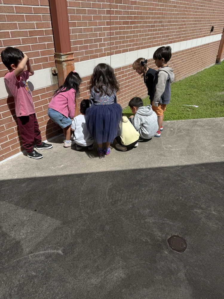 prek releasing butterfly 