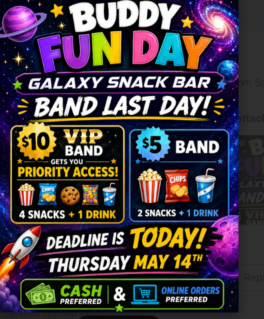 Buddy Fun Day Bands