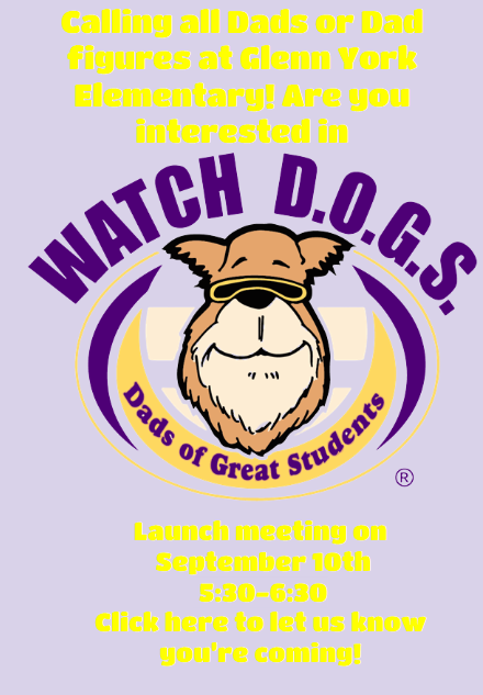 Watch Dogs Flyer