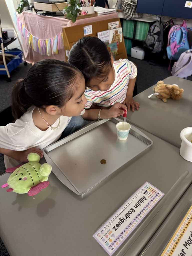 students putting water on penny