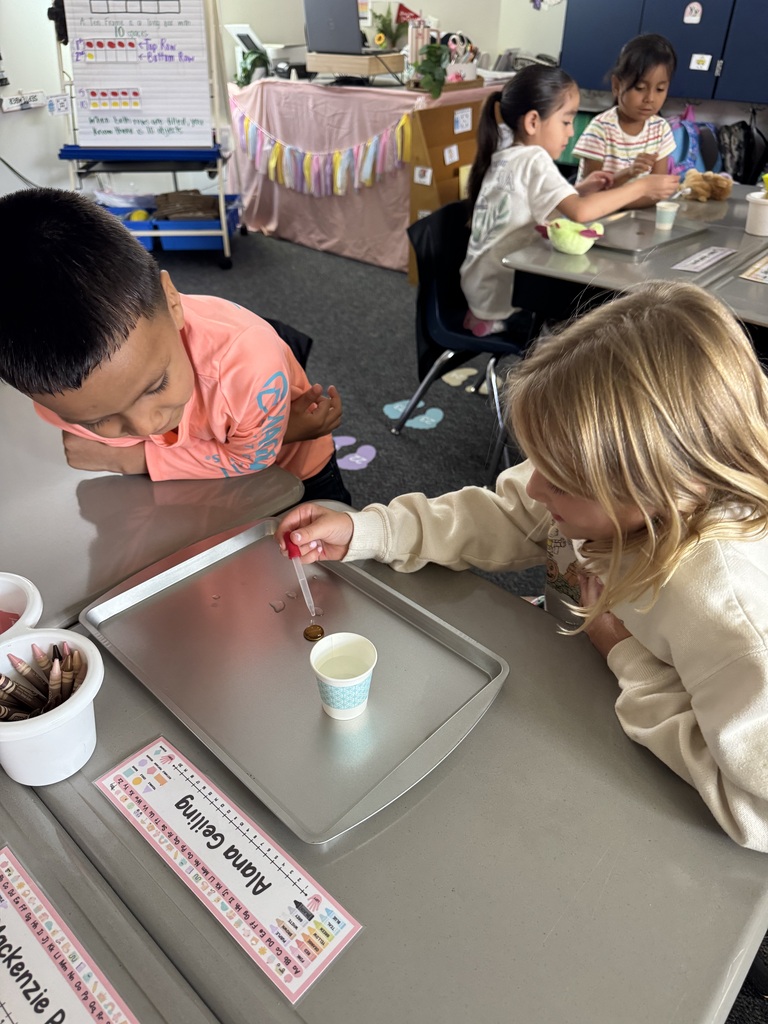 students putting water on penny