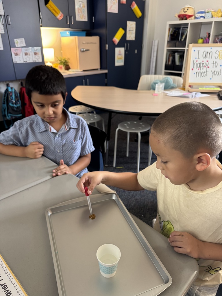 students putting water on penny