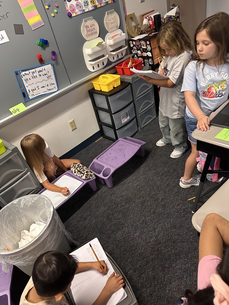 2nd grader working on computer