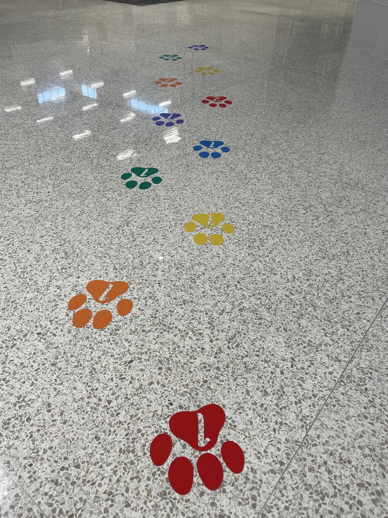Bearkat paws in different colors with numbers on linoleum.  