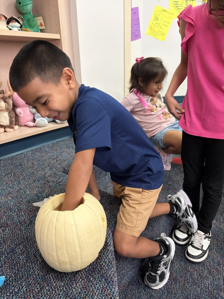 kid feeling inside pumpkin