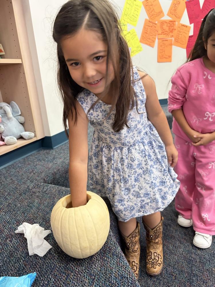 kid feeling inside pumpkin