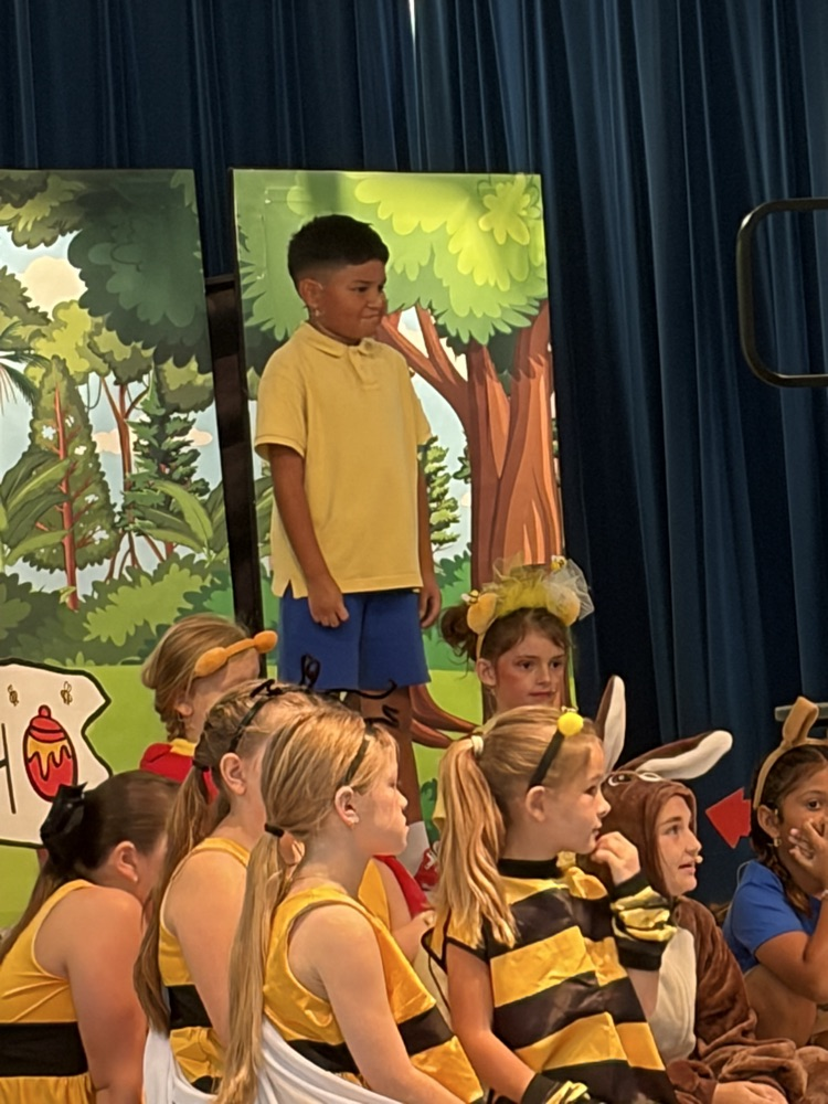 musical performance