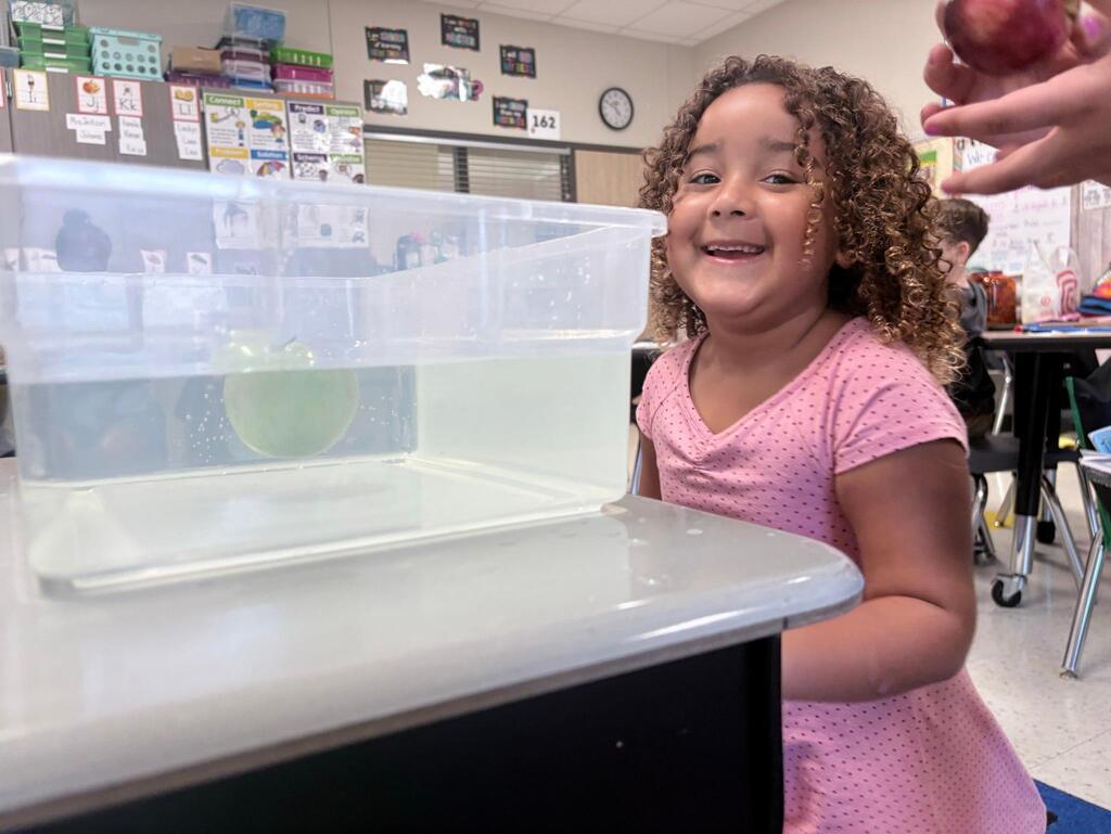 a student testing to see if apples float by dropping the apple in a bucket of water
