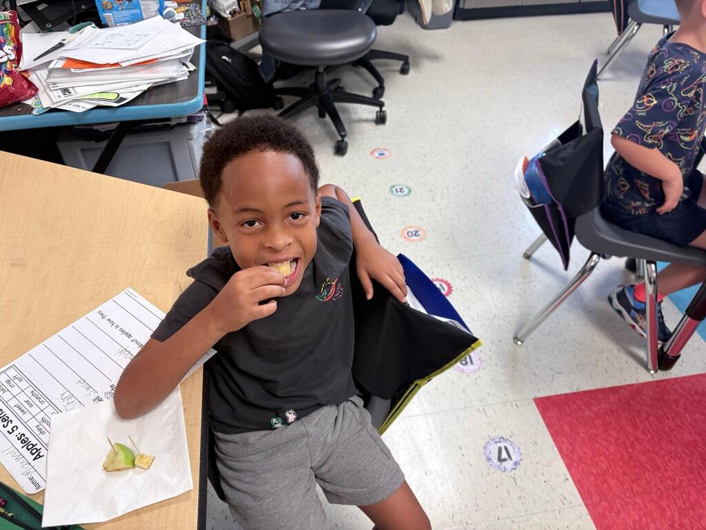 a student using his five sense to explore apples