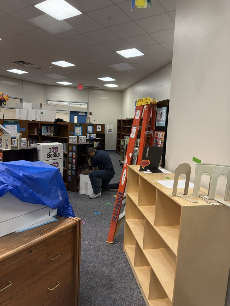 packing the library 