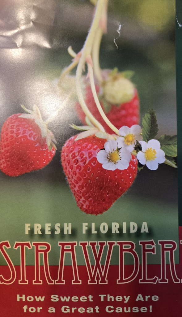 Strawberry Fundraiser