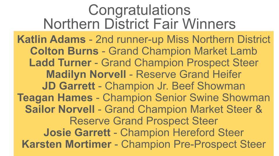 '25 NDF Winners