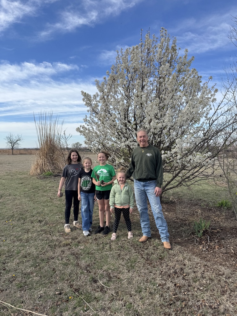 Learning about trees