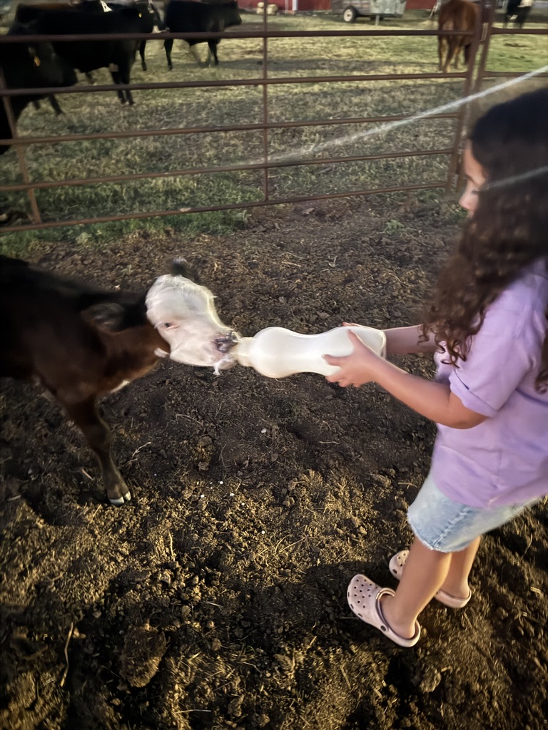 bottle feed