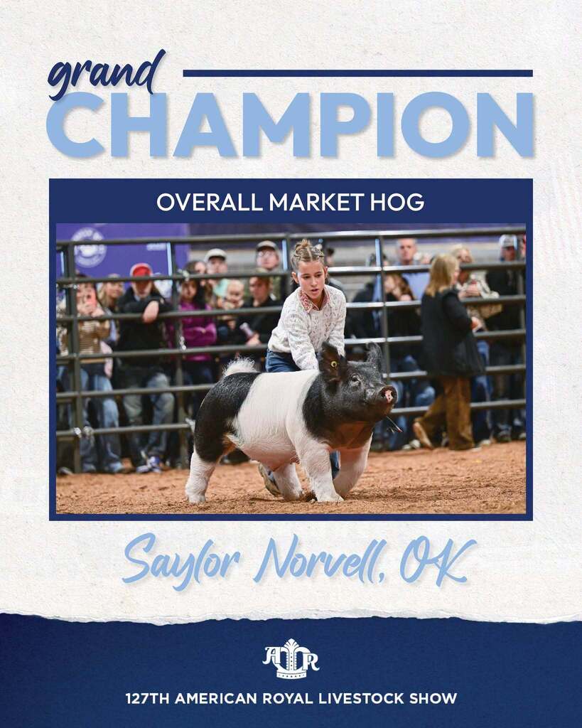 saylor royal
