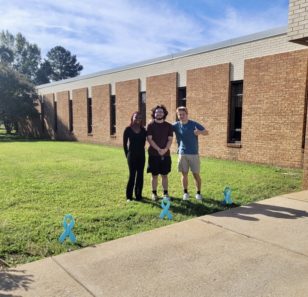 Teal Ribbons for September
