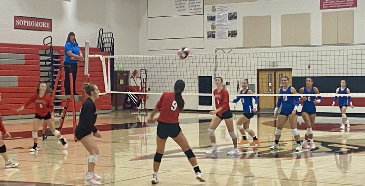 VB