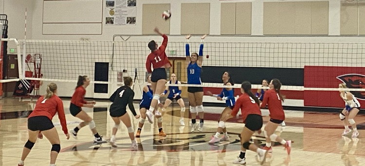 VB