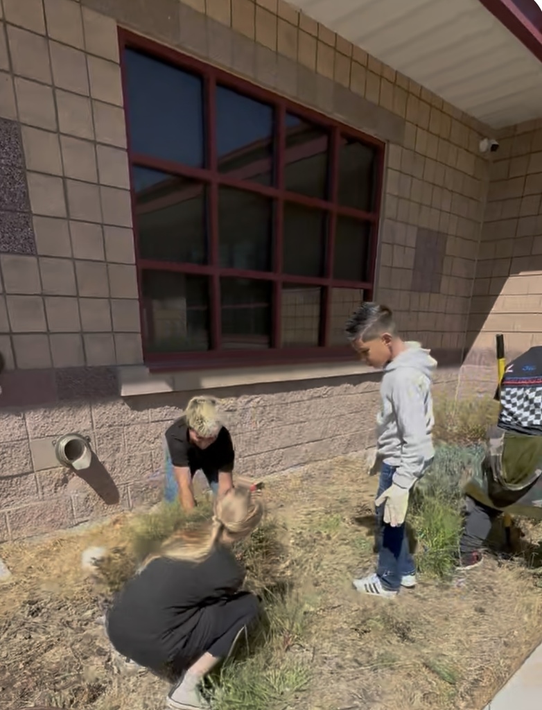 Ms. Vias' and Ms. Breding's Classes Service Project
