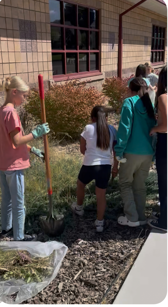 Ms. Vias' and Ms. Breding's Classes Service Project