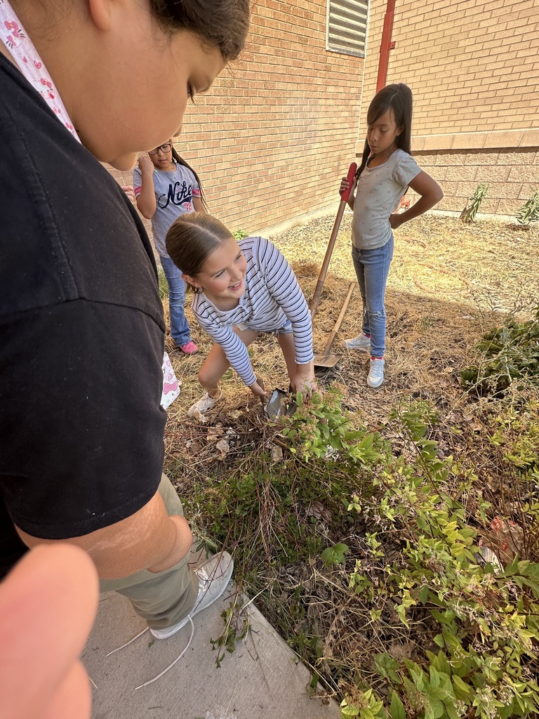 Ms. Vias' and Ms. Breding's Classes Service Project