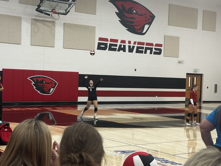 JV girls volleyball