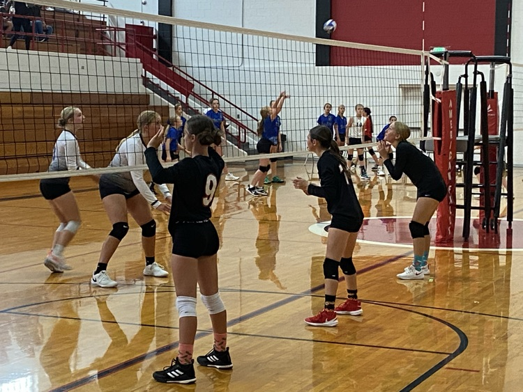 8th grade volleyball 