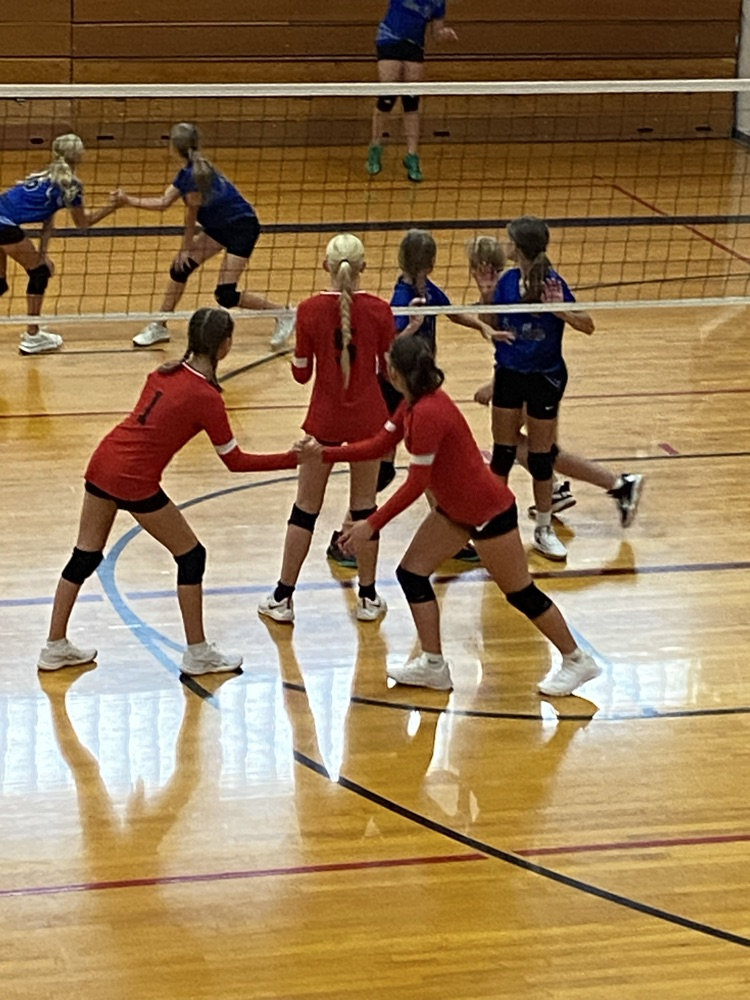 volleyball 