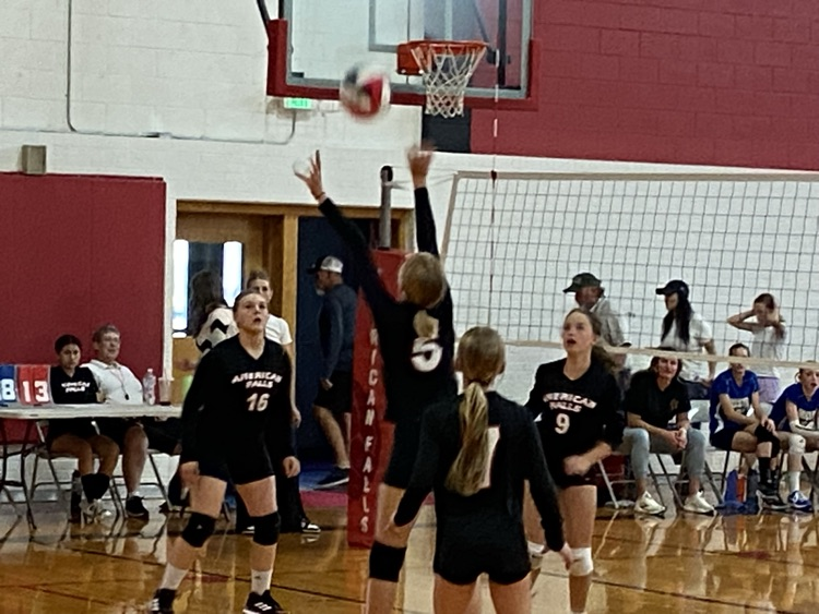 volleyball 