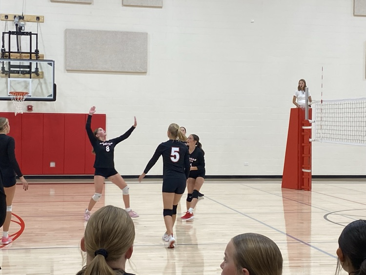 volleyball 