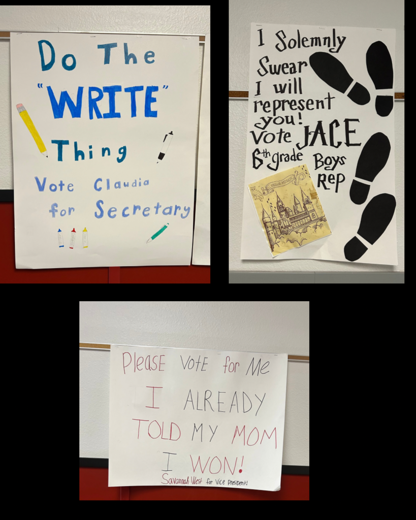 Election Poster Pictures