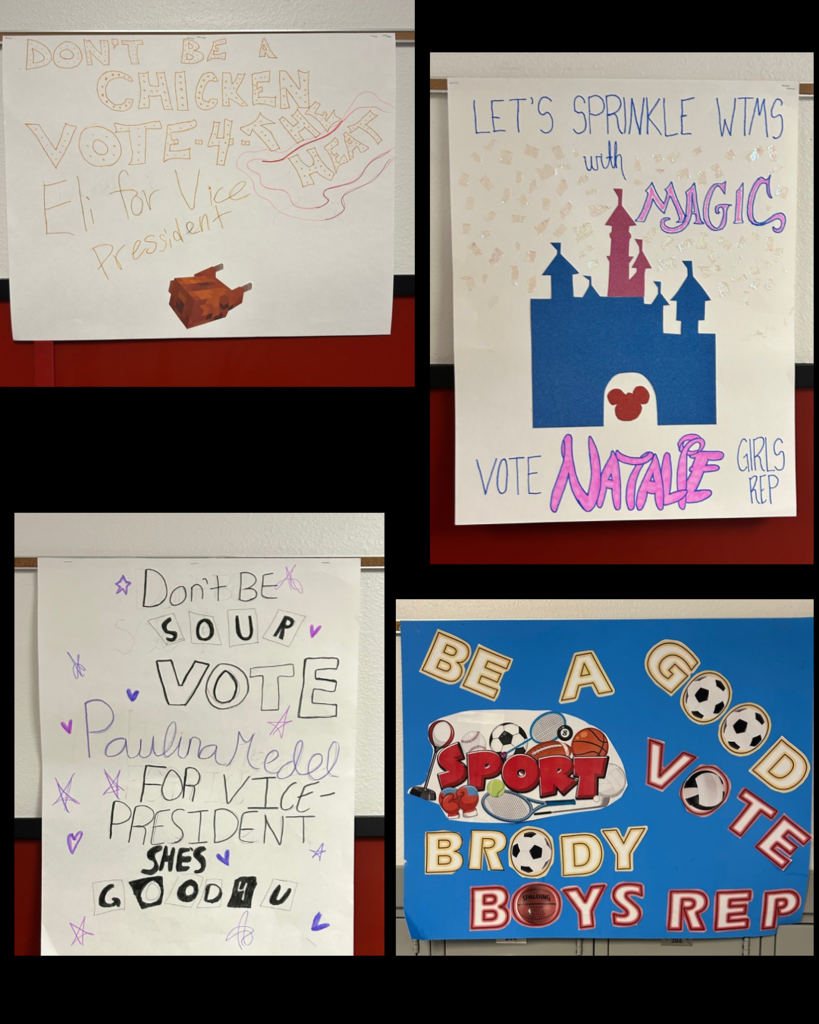 Election Poster Pictures