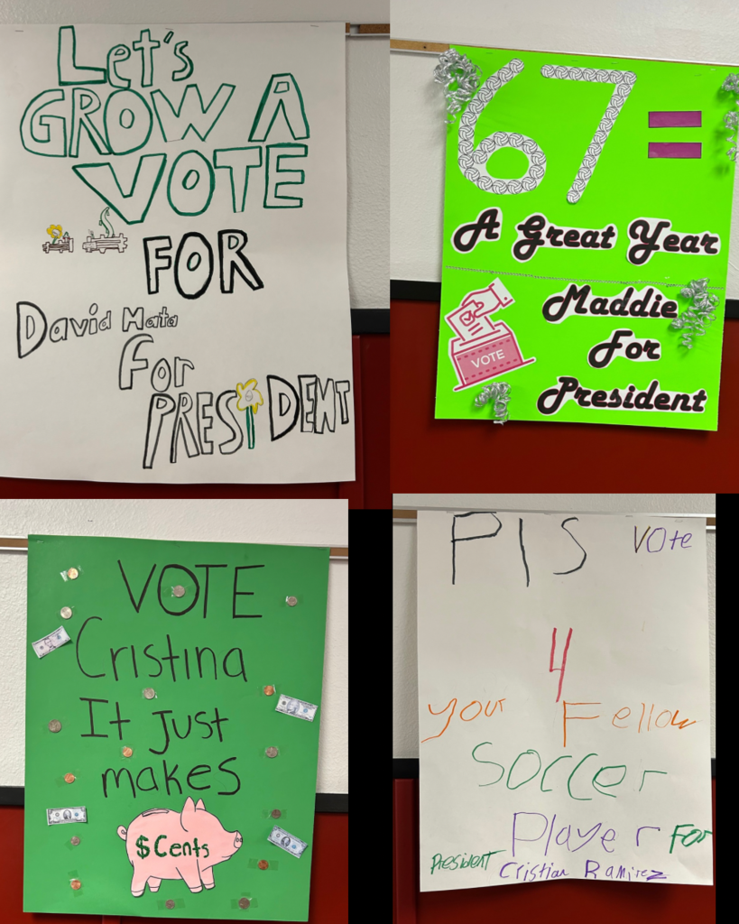 Election Poster Pictures
