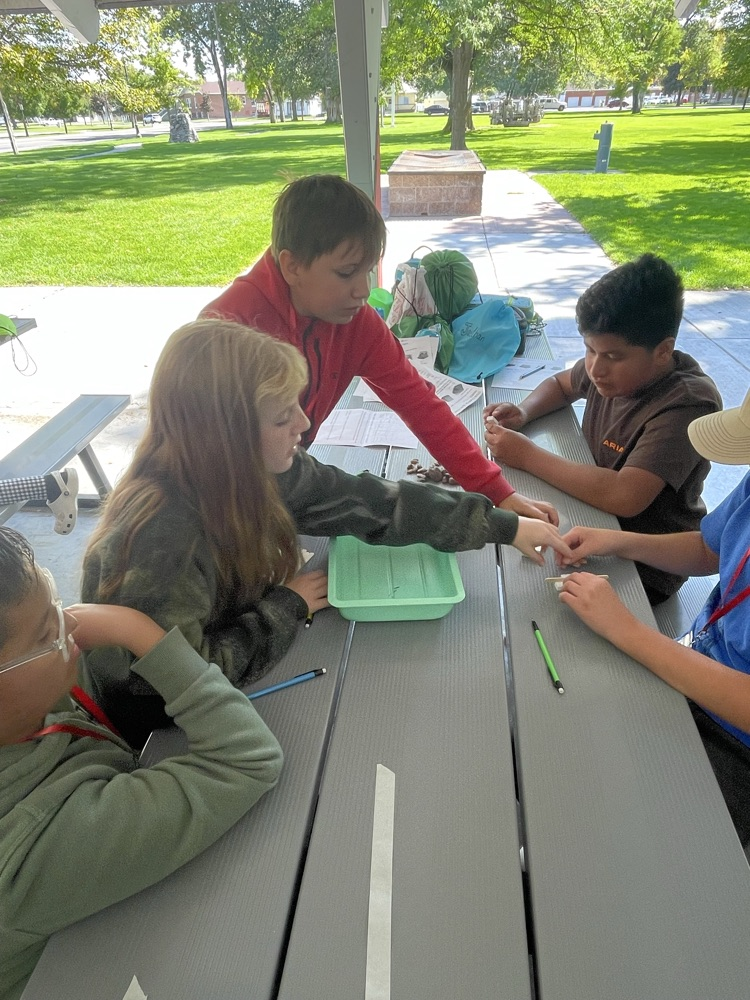 Fish Hatchery Rotation Photo 