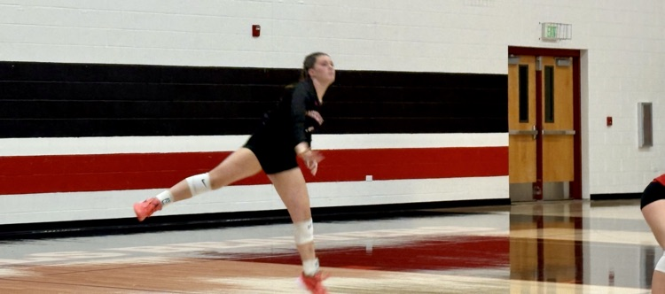 VB