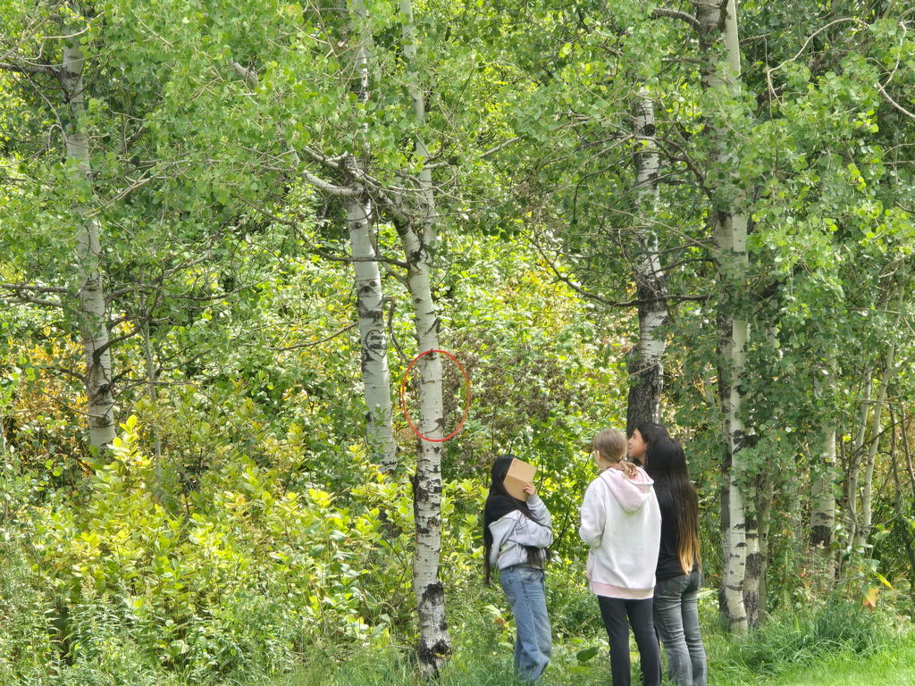 Scout Mountain Pocatello Photo