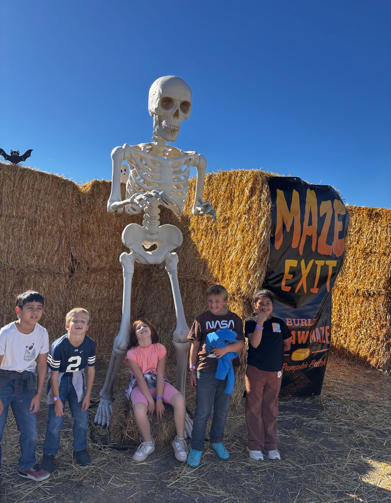 3rd Grade Straw Maze Adventures