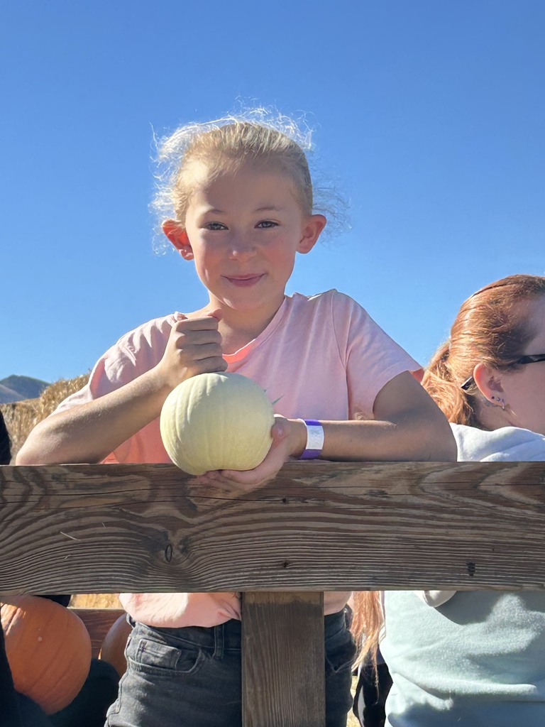 3rd Grade Straw Maze Adventures