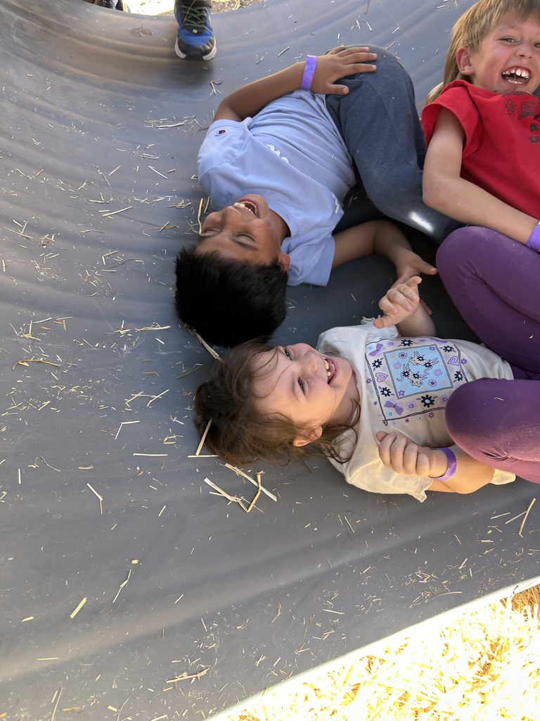 3rd Grade Straw Maze Adventures