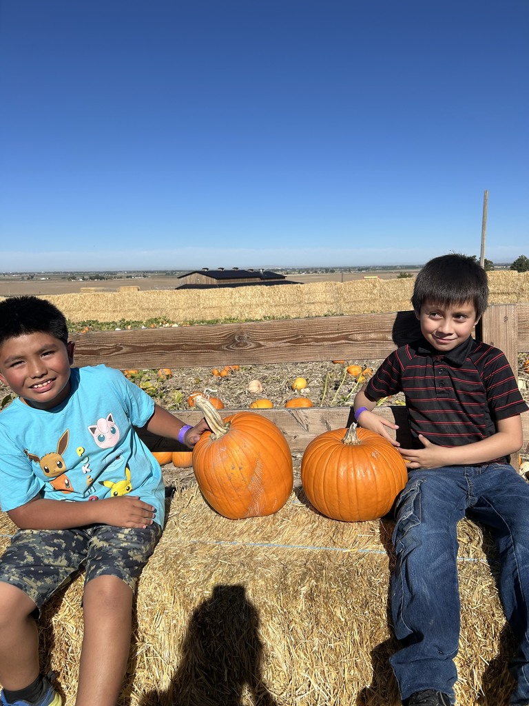 3rd Grade Straw Maze Adventures