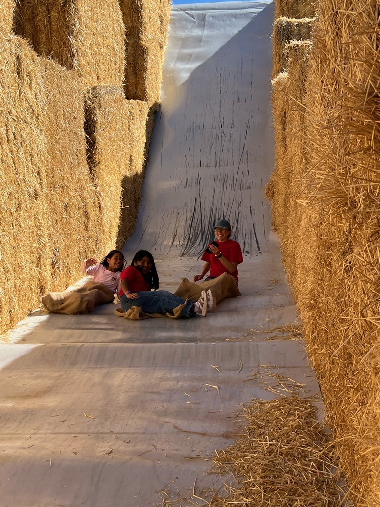 3rd Grade Straw Maze Adventures