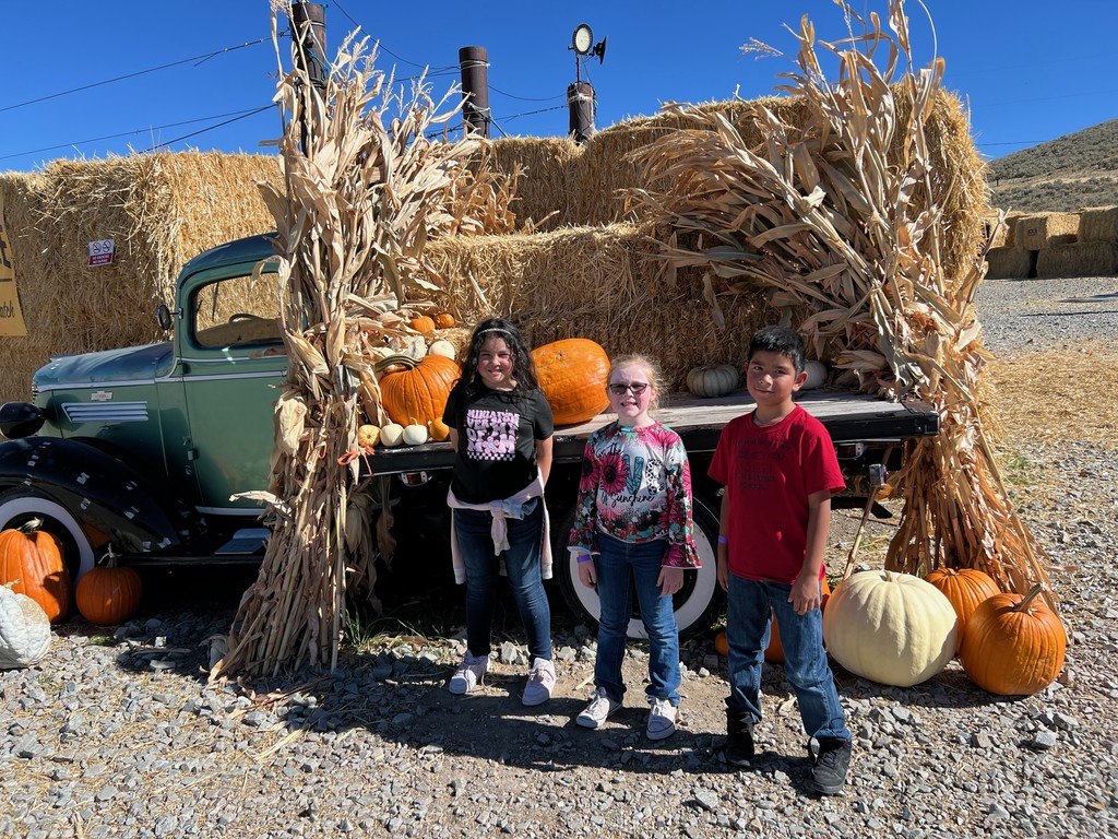 3rd Grade Straw Maze Adventures