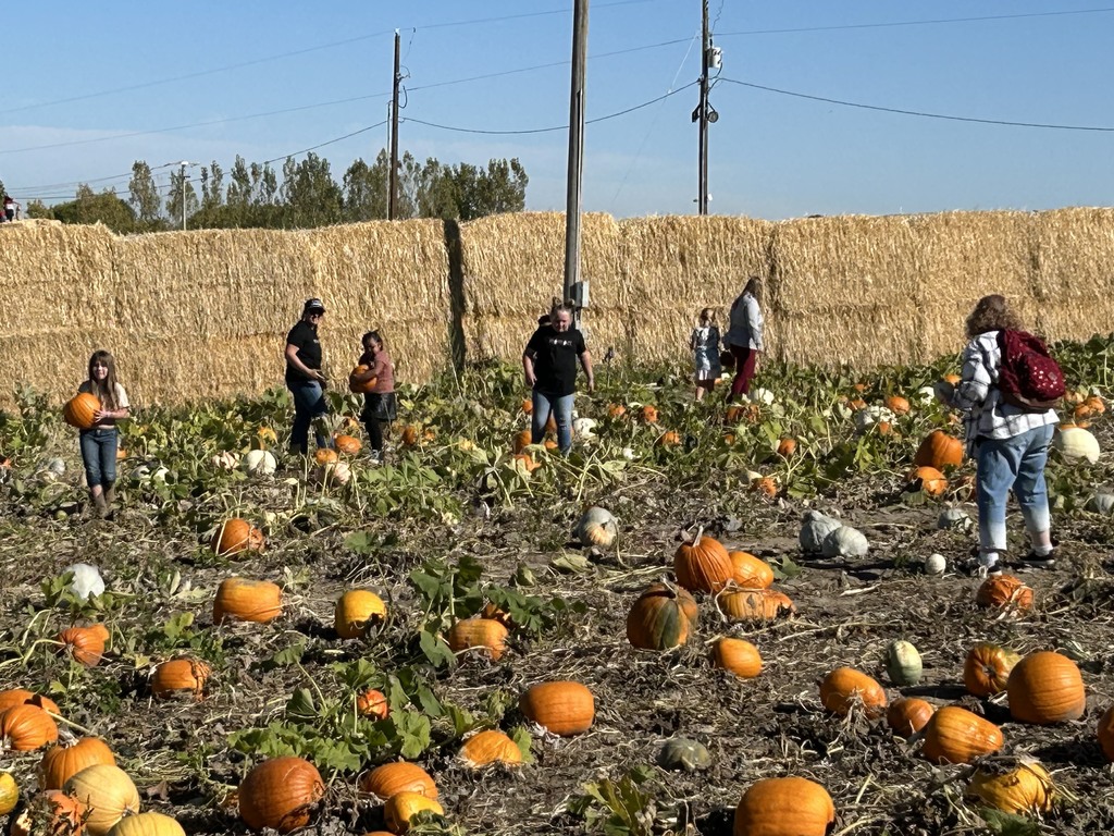3rd Grade Straw Maze Adventures