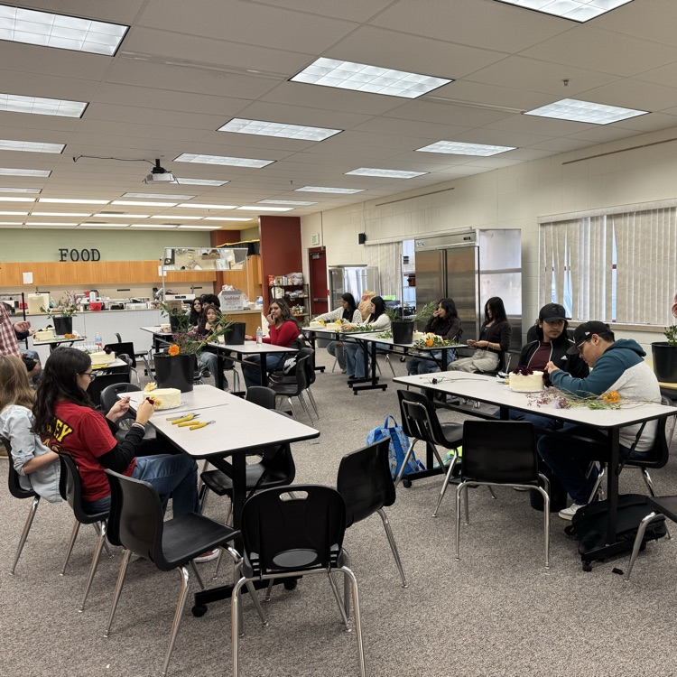 group pic of class working