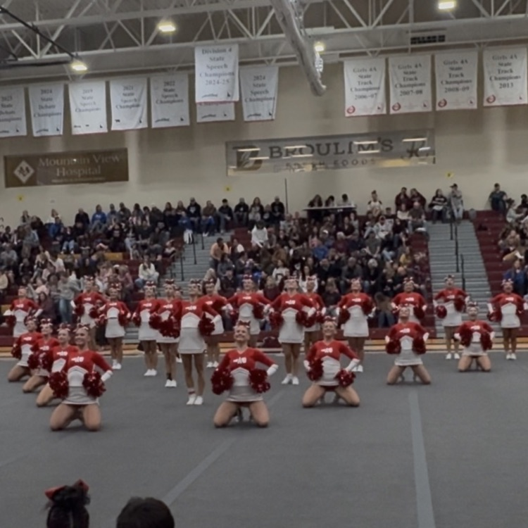 AFHS CHEER TEAM
