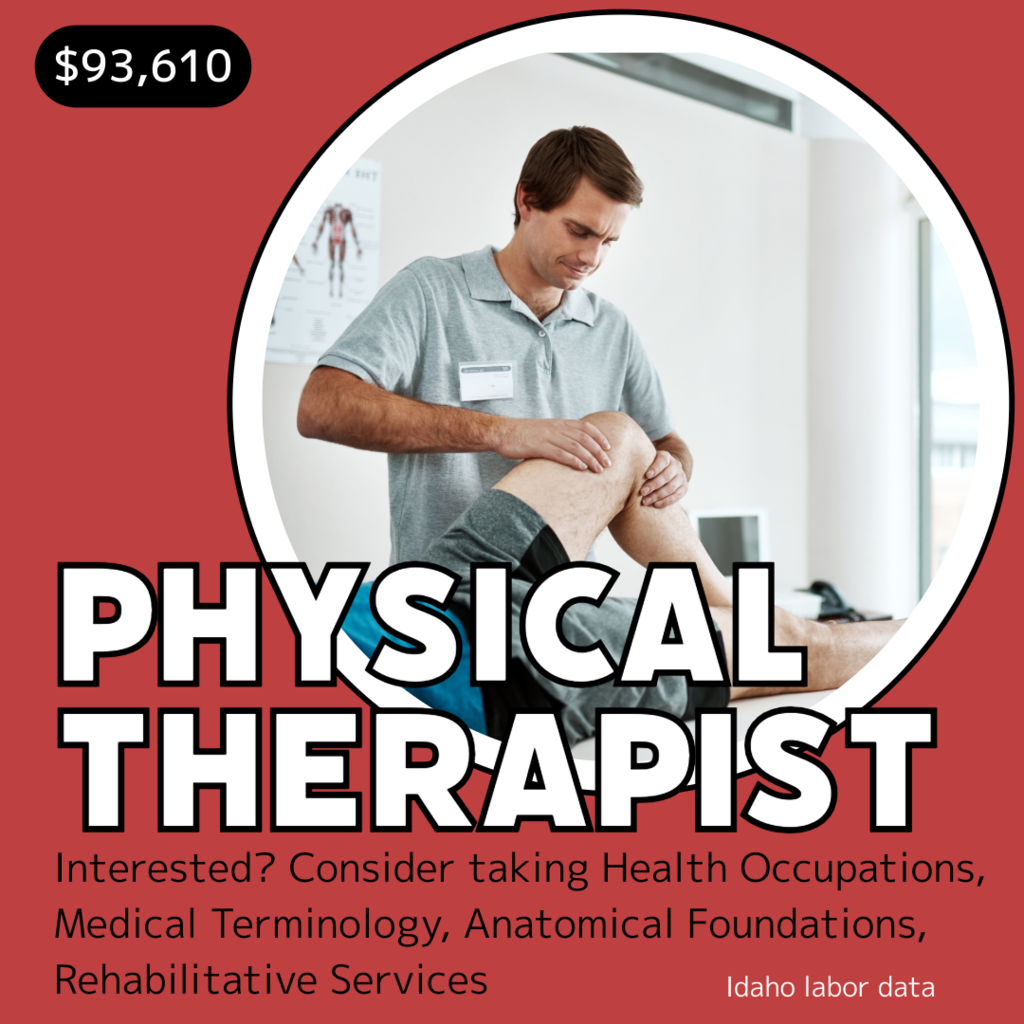 Physical Therapist