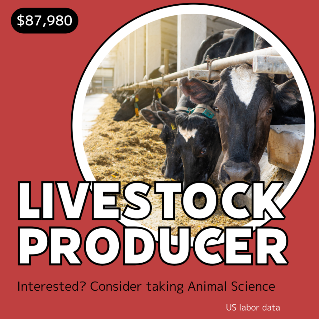 Livestock Producer