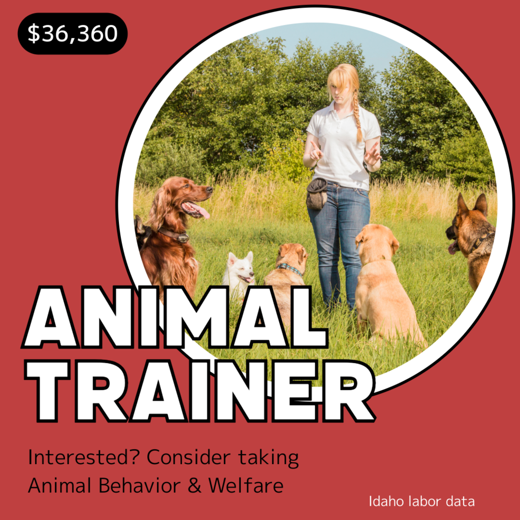Animal Trainer